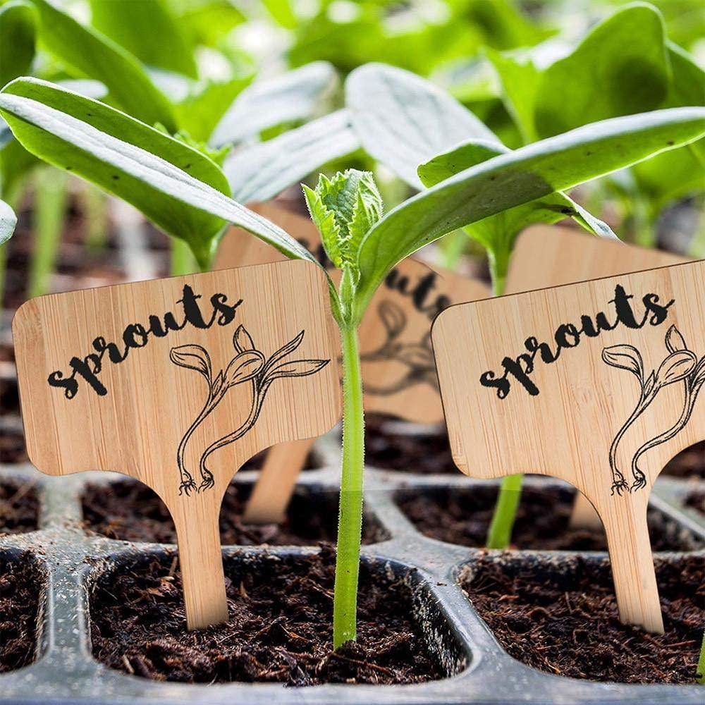 Plant Care Accessories