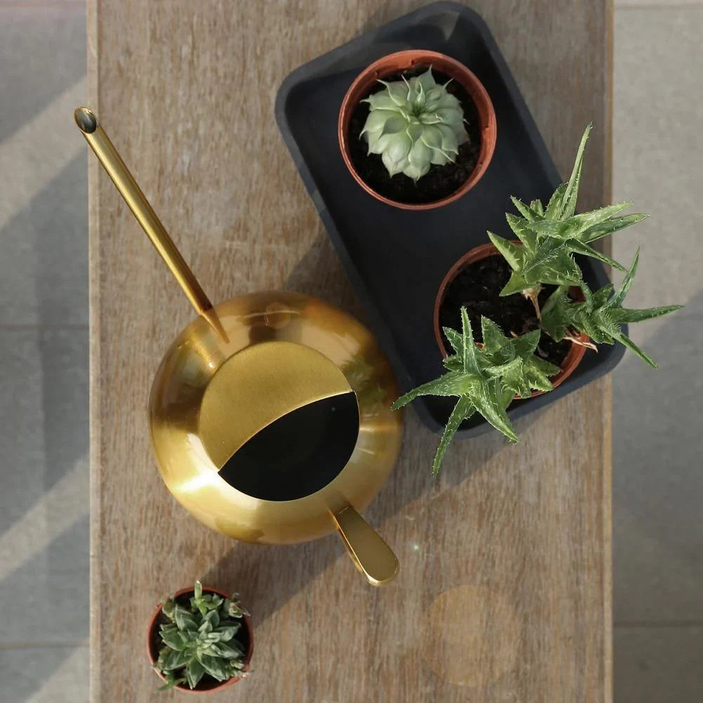 Watering Can