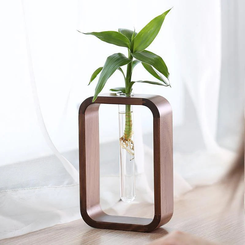 Vase & Propagation Inspiration