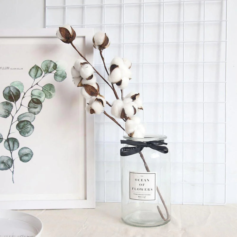 Cotton Branches