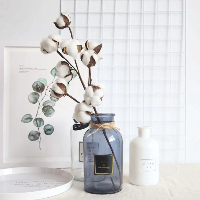 Cotton Branches