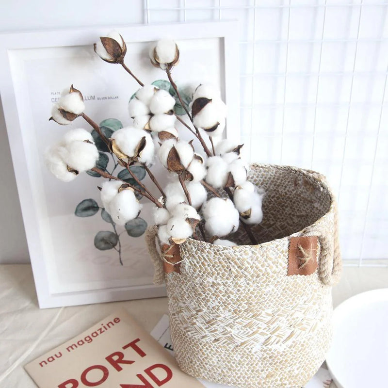 Cotton Branches