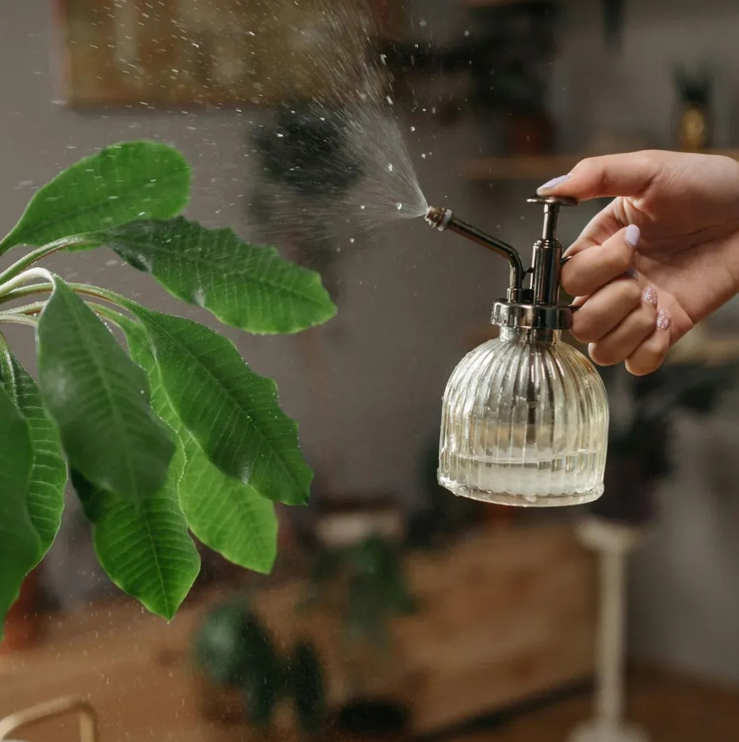 Plant Care