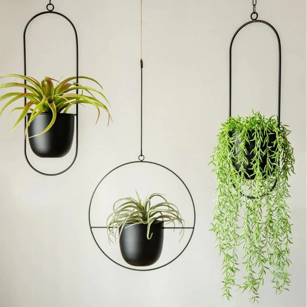 Hanging Planters