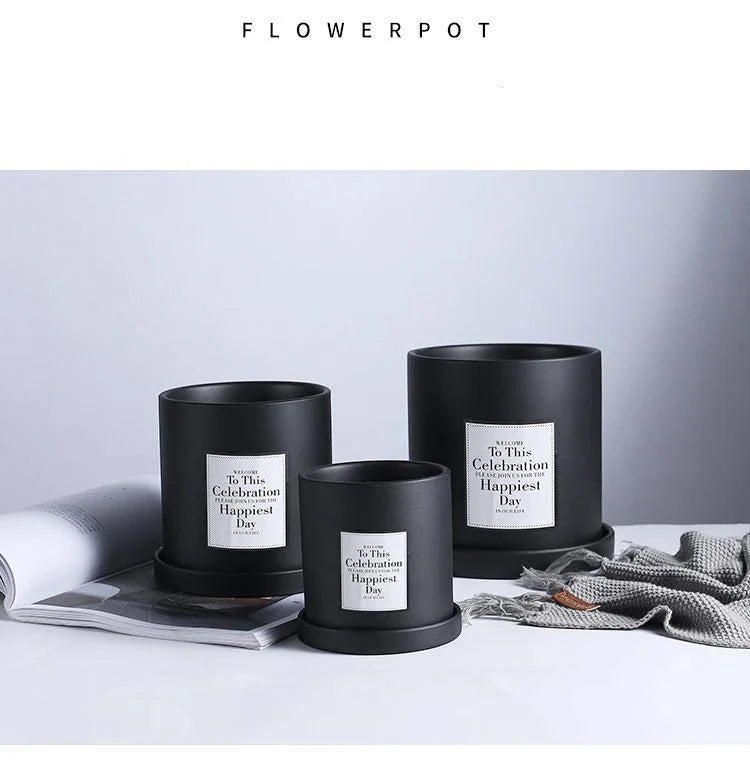 EverVase Planter Collection