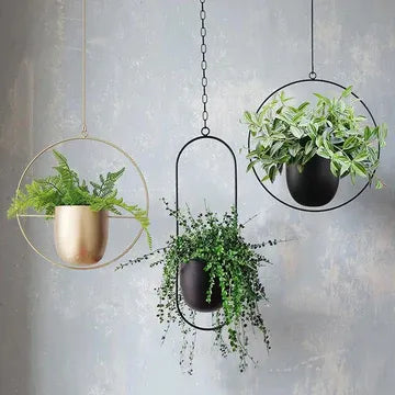 PLANTERS