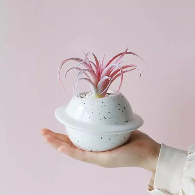 Cosmos World Ceramic Planter