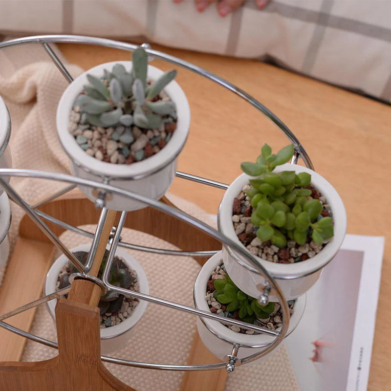 Wooden Carousel with Ceramic Succulent Planters