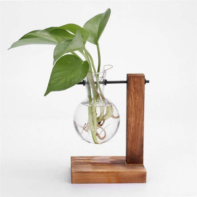 Vertical Bloom Glass Propagator