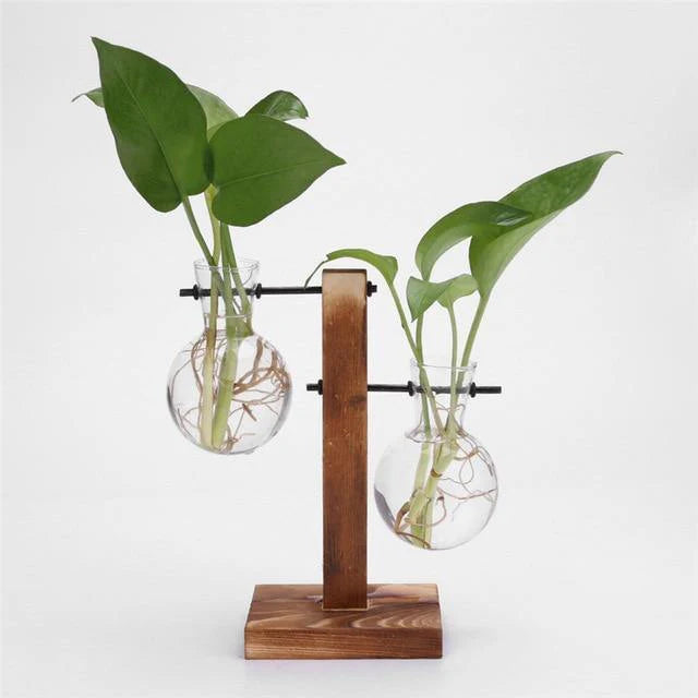 Vertical Bloom Glass Propagator