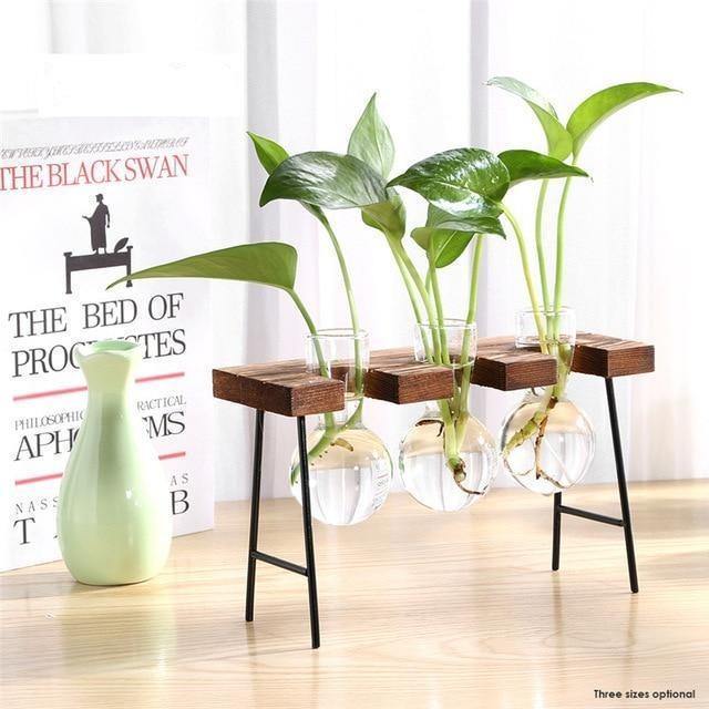 Flourish Propagation Vessel with Metal and Wooden Stand