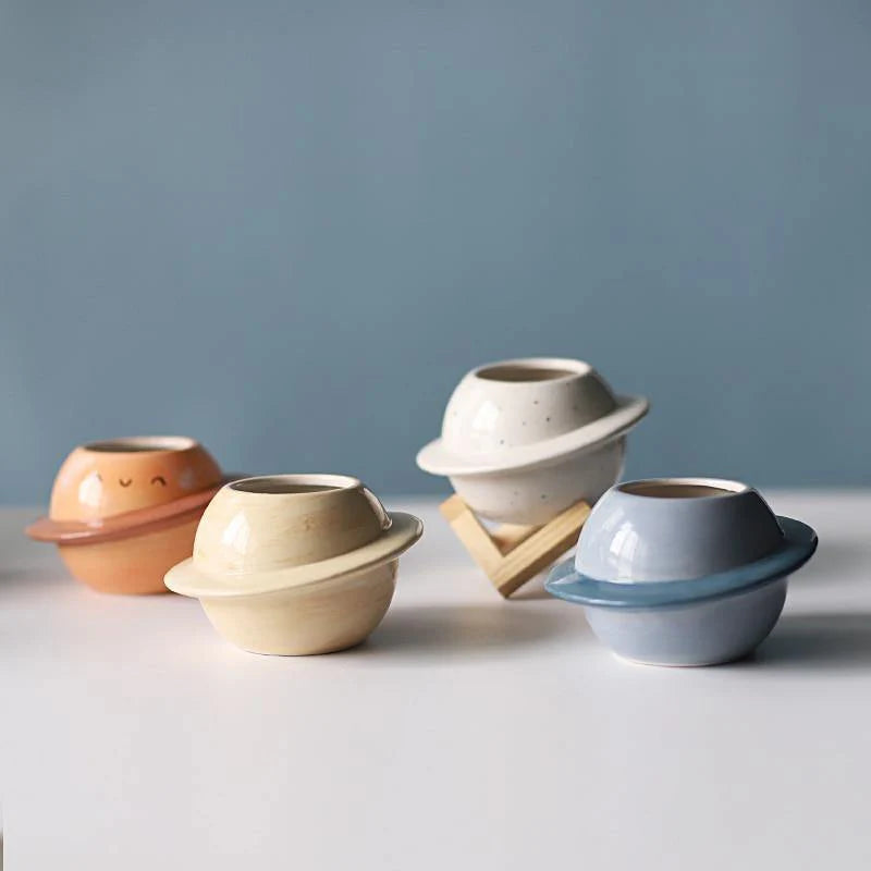 Cosmos World Ceramic Planter