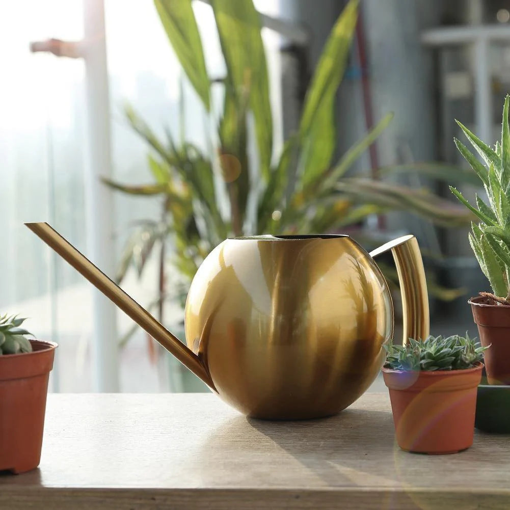 Top Picks for Your Plants