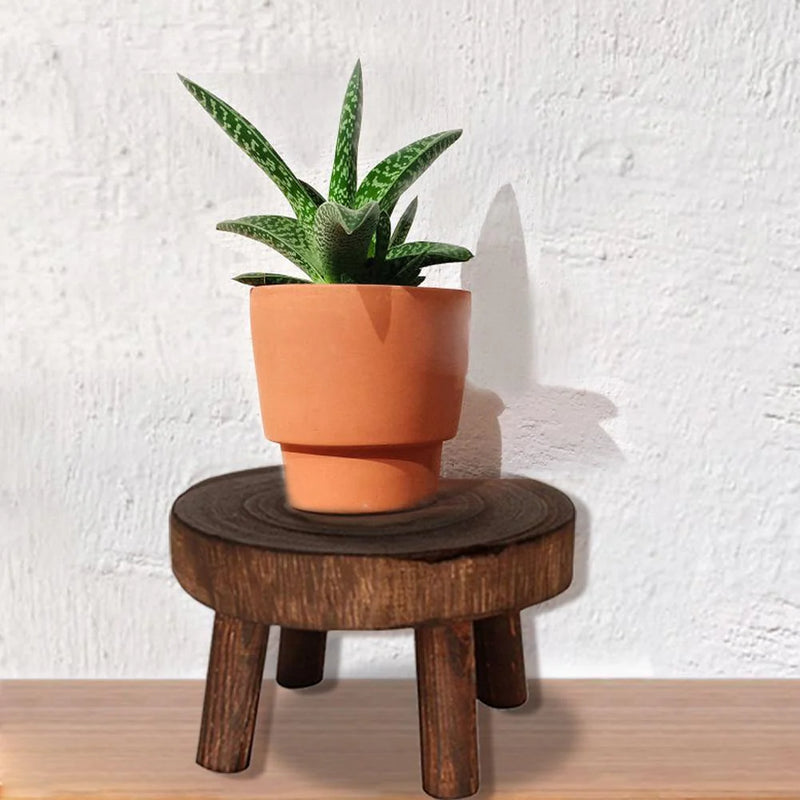 Wooden Plant Holder Seat