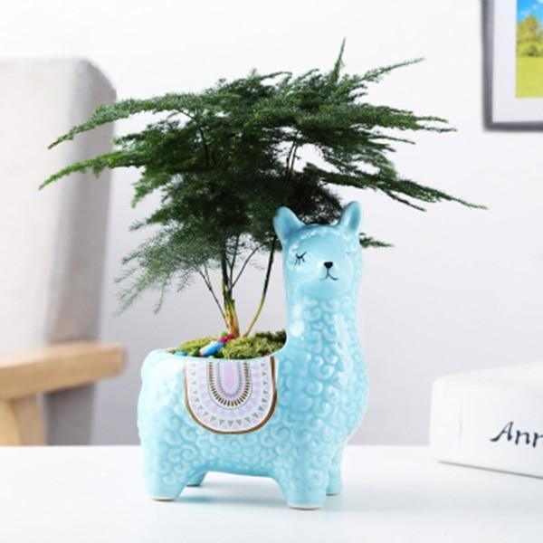 Alpaca Pottery Succulent Planter