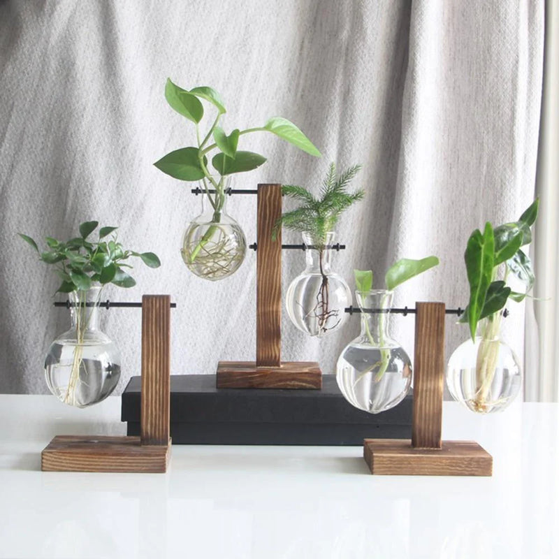 Vertical Bloom Glass Propagator