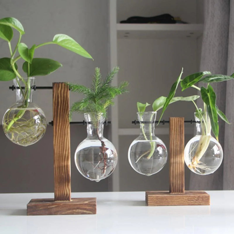 Vertical Bloom Glass Propagator