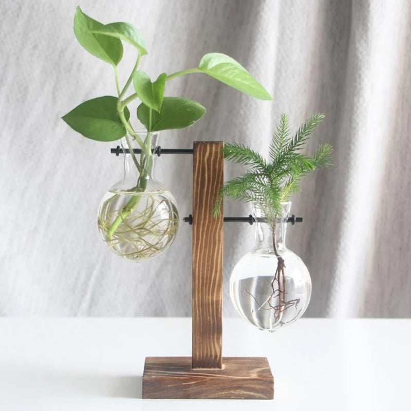 Vertical Bloom Glass Propagator
