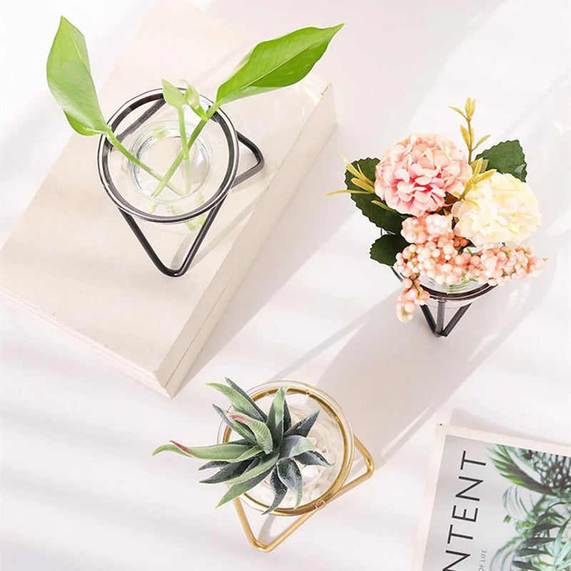 Modern Glass Plant Vase