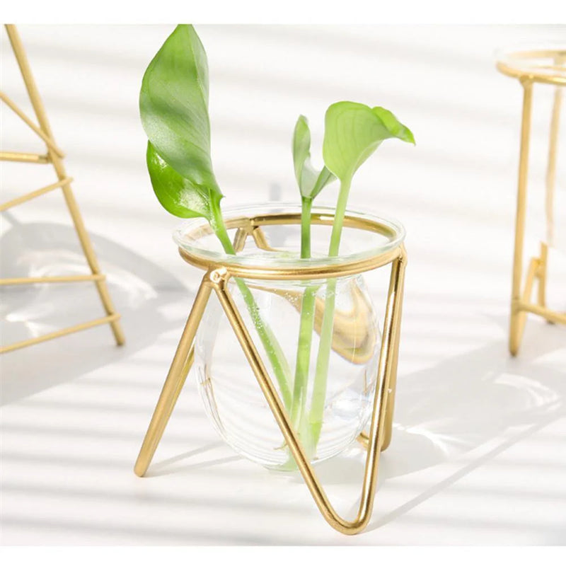 Modern Glass Plant Vase