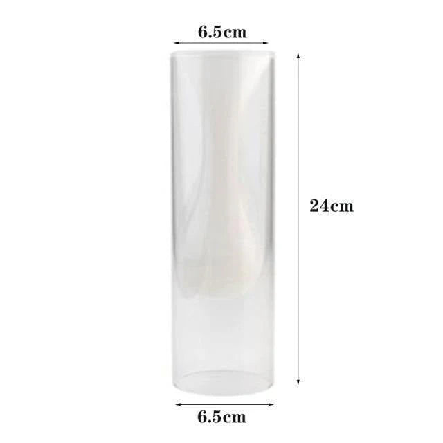 Elegant Glass Bubble Vases