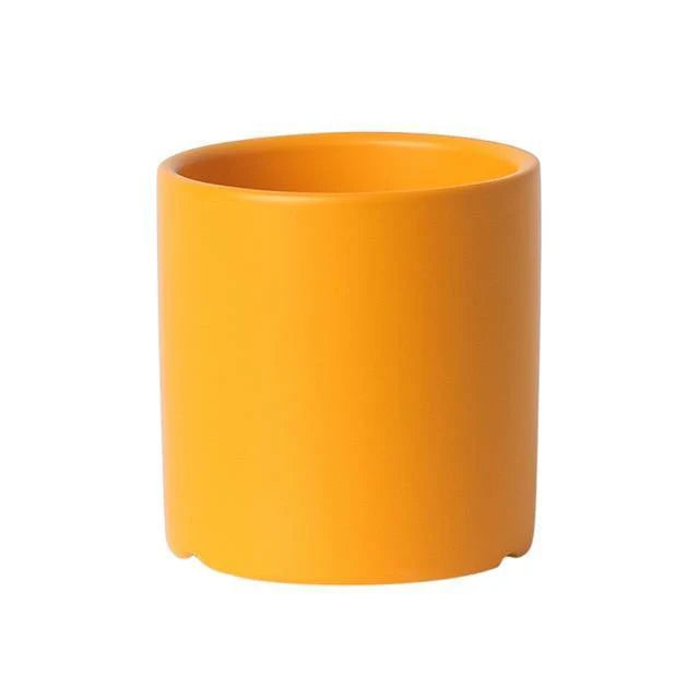 Vibrant Traditional Circular Ceramic Pot Planter