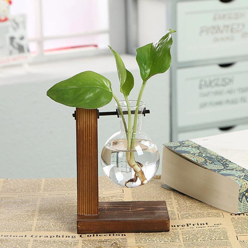 Vertical Bloom Glass Propagator