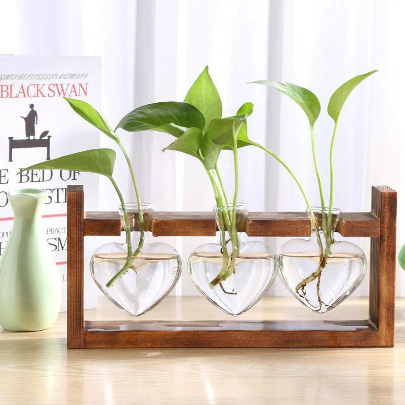 Eternal Heart - Glass & Wood Propagation Vase
